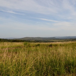 2015-05 South Africa/iMfolozi/DSC_0088.JPG